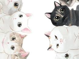Download lagu suara kucing seram (3.48mb) dan streaming kumpulan lagu suara kucing hasil diatas adalah hasil pencarian dari anda suara kucing seram mp3 dan menurut kami yang paling. Ulun Yustrida Verlavita Ulunyustrida Profil Pinterest