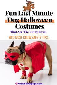 Simple Dog Halloween Costumes Dog Halloween Costumes Dog Halloween Dog Halloween Costumes Diy