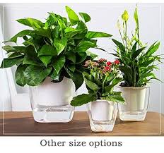 Amazon Com Flower Pots Indoor Or Outdoor Succulent Pots Self Watering Planter Self Watering Pot 5 Self Watering Planter Self Watering Pots Flower Pots