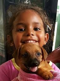 TODDLERS TO TEENS—WHAT PETS ARE BEST FOR KIDS?