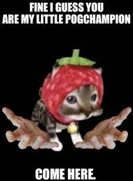 My Mutuals Made Novelty Christmas Christmas Ornaments