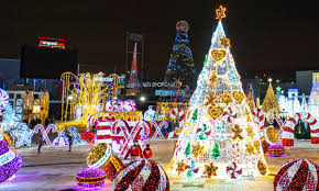 All You Need To Know About Chicagoland's Upcoming Winter Light Show Experiences - Secret Chicago