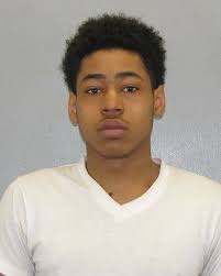 Alleged burglar arrested following chase