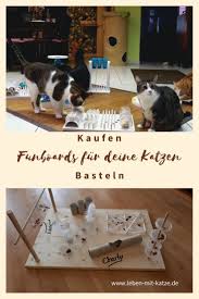 Spass Fur Deine Katzen Mit Fummelbrettern In 2020 Katzen Spielzeug Basteln Fummelbrett Katzen Spielzeug