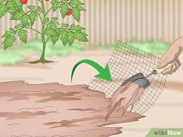 Keep feeding times the same for instance. 4 Ways To Keep Cats Out Of A Garden Wikihow