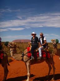 Dromedary camels are much more common. One Hump Or Two Byron Dreamer