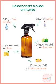Desodorisant Maison Printemps En 2020 Desodorisant Maison Desodorisant Produit De Nettoyage Faits Maison