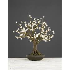 Click here to change your country and language. Dar Lighting 005bon700cww Clear Blossom 70cm Bonsai Tree With 175 Warm White Leds Castlegate Lights