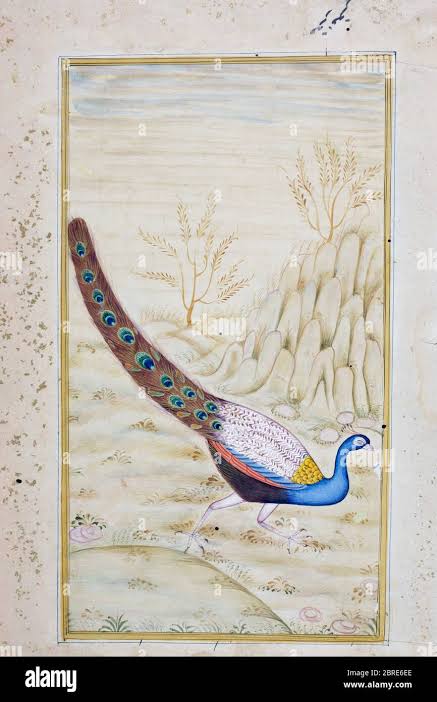 Rajasthani miniature painting from Rajasthan, India. Probably late 19th century or early 20th century. A peacock Stock Photo - Alamy