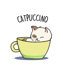 Our cat puns include all kitten puns, feline puns, cat food puns, cat name puns, funny cat puns all in a great cat pun list that has the best cat puns in it. Pin On Kitty Things