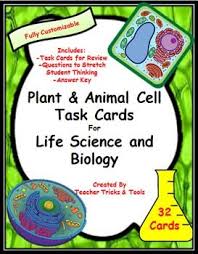 Questions to ask about plant and animal cells. Plant And Animal Cell Task Cards Task Cards Plant And Animal Cells Task Card Activities