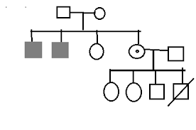 how can we draw pedigree chart of our family pls answr it