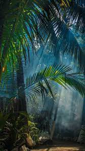 Jungle Best Nature Wallpapers Beautiful Landscape Wallpaper Beautiful Wallpapers Backgrounds