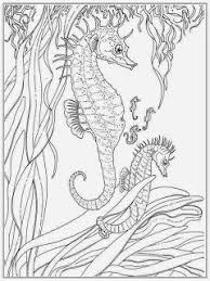 Pin On Coloring Pages For Adults