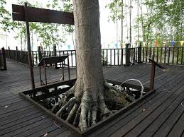Terus naik tangga nampak ada kaunter jual tiket ke taman negara johor. Explore And Have Fun At Pulau Kukup National Park Johor Now