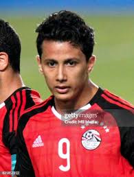 173 Amr Sayed Stock Photos, High-Res Pictures, and Images