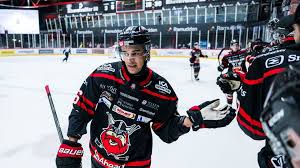 Gabrielson om tiden i Vikings: ”Allt jag hoppades på”