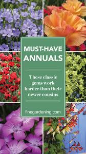 must have annuals finegardening cool plants plants fine gardening