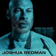 Words Fall Short Vinyl LP by Joshua Redman