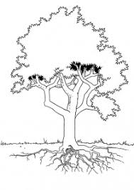 Maybe you would like to learn more about one of these? Trees Free Printable Coloring Pages For Kids