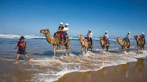 Sand dunes birubi point public carpark, anna bay, port stephens, yeni güney galler 2316 avustralya. Seven Surprisingly Epic Things You Didn T Realise You Could Do In Nsw Concrete Playground Concrete Playground Sydney