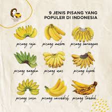 Pisang ini memiliki ukuran sedang dan biasa diolah menjadi pisang goreng atau camilan lainnya seperti keripik atau sale pisang. Pisang Goreng Madu Bu Nanik Ø§Ù„Ù…Ù†Ø´ÙˆØ±Ø§Øª ÙÙŠØ³Ø¨ÙˆÙƒ