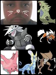 Do people play Gym Leader Challenge here? Or is there any interest?