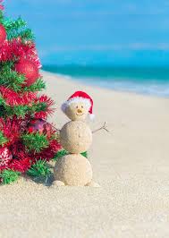 We did not find results for: Christmas Tree On The Sea Beach Christmas Vacation Concept Stock Photo Image Of Landscape Egipt 35363622