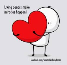 0 ratings0% found this document useful (0 votes). 86 Organ Donation Ideas Organ Donation Donate Life Organ Donation Awareness