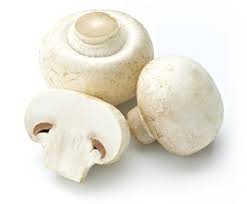 Ausgetragen wird sie, wie die uefa europa league. Frische Champignons Putzen Nicht Waschen Tippscout De