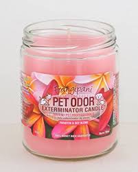 Maybe you would like to learn more about one of these? Specialty Pet Products Store Online Shopping In Gibraltar At Gibraltar Desertcart Com