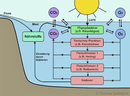 Die weltweite emission von schwefeldioxid aus natürlichen quellen wie z.b. Seilnachts Chemielexikon
