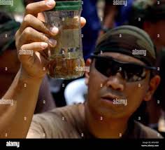 Mobile security squadron seven hi-res stock photography and images