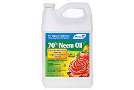 Neem Oil Organic Insecticide Fungicide And Miticide