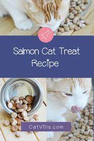 Homemade Salmon Cat Treats Recipe Salmon Cat Cat Treats Homemade Homemade Cat Food