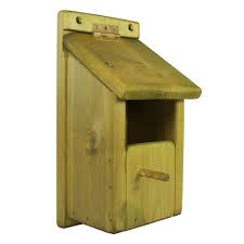 Image result for Flyte Blackbird Nest Box