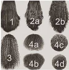 Know Your Hair Type Iseehair