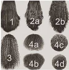 know your hair type iseehair