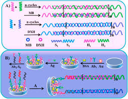 Passionate about mental health and desserts. Advanced Sensitivity Amplification Strategies For Voltammetric Immunosensors Of Tumor Marker State Of The Art Sciencedirect