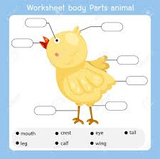 To complete the word search, students should find the body part names in the grid and then check off the words at the bottom of the worksheet once they have found them. Worksheet Body Parts Animal For Kid Royalty Free Cliparts Vectors And Stock Illustration Image 148871668