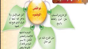 حل كتاب الطالب فقه اول متوسط الوضوء الفصل الاول 1438 Youtube