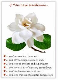 Are Gardenias Your Favorite Flowers Then Check Out Your Gardenias Personality Gardenia Flowers Romantic