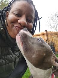 Dog Beaten in Homeless Housing Complex Rescued