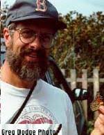 Journey North: Monarch Butterfly