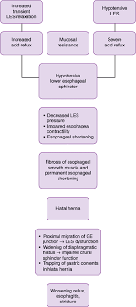 75 hiatal hernia pathophysiology