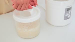 ヨーグルトメーカーで基本の甘酒の作り方 | 発酵食大学｜発酵食エキスパート資格取得・発酵食講座・オンライン学習