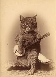 I Love Playing The Banjo Also The Banjo I Play Was My Grandpa S And When I Play It I Always Feel Connected To Him Vintage Cat Steampunk Cat Cats