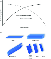 Discuss the types of cellular life… | bartleby 8.1 life is cellular mcas biology photosynthesis and cellular respiration packet answers. Influence Of The Mechanical Properties Of Biomaterials On Degradability Cell Behaviors And Signaling Pathways Current Progress And Challenges Biomaterials Science Rsc Publishing