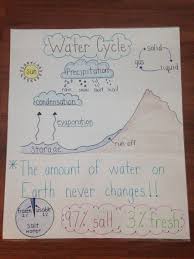 Water Cycle Anchor Chart Science Anchor Charts Science