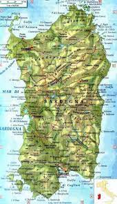 Osservando le piantine in vivaio dobbiamo in primo luogo verificare che siano ben dritte, con un fusto robusto e foglie verdi. Sardegna Cartina Geografica Sardegna Geografia Sardegna Italia